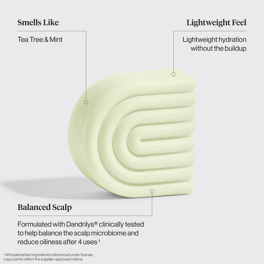 Tea Tree & Mint Clarifying Shampoo & Conditioner Bar Combo