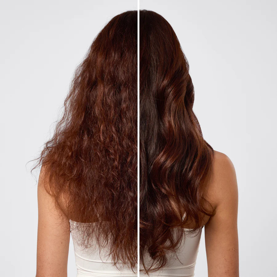 Repairing Argan Oil Shampoo & Conditioner Bar Combo